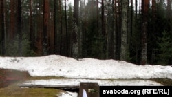 Катынская магіла