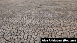 Жакынкы Чыгыштагы кургакчылыктын кесепети. 