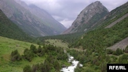 Нарын жергеси