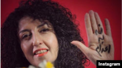 Наргиз Мохаммади