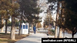 Ашхабадский парк. Иллюстративное фото 