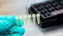 ВОЗ: "омикрон" распространяется с невиданной скоростью