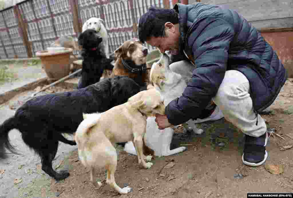 Про те, як рятує тварин, Ганна розповідає на своїй сторінці в Instagram. У неї уже понад 300 000 підписників &nbsp;