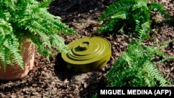 Ілюстрацыйнае фота.