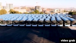 Երևանյան ավտոբուսներ, արխիվ