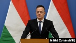 «Ми погоджуємося з позицією канцлера Німеччини і не плануємо вводити обмеження»