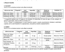 Nicolae Banicioiu, declarația de avere pe 2020