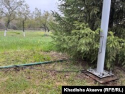 Фонарный столб на острове Бейбитшилик. Семей, Абайская область, 30 апреля 2024 года