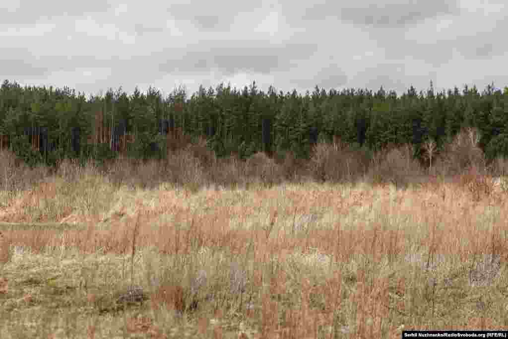 На первом изображении: разрушенная военная техника на окраине Тетеревского. На втором изображении: технику убрали, а выжженная огнём земля заросла травой