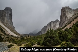 Керевшин капчыгайындагы чокулар