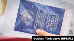 Иллюстрациялык сүрөт. 