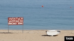 Иллюстрациялык сүрөт. 