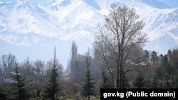 Бишкектен тоолордун көрүнүшү  