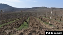 Լուսանկարը՝ Արցախի ՆԳՆ-ի