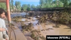 سیلاب‌های اخیر باغ‌های میوه در غور را تخریب کرده و باغ‌داران را با مشکلات اقتصادی مواجه ساخته است.