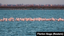 Раніше росіяни могли в’їжджати до країни без візи з 1 травня до 30 вересня