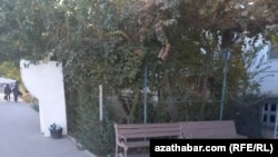 Howlynyň daş görnüşi