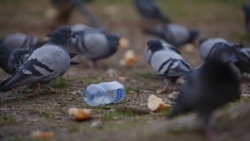 ЖЕР ЭНЕ: Желимден кантип кутулабыз? Ишкердин сунушу 