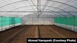 یکی از سبزخانه ها در ولایت کاپیسا