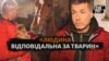 Як харків'яни рятують тварин із зони бойових дій (відео)