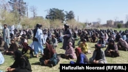 طالبان که از یگانه مکتب شبانه در ولایت فراه فارغ شده اند 