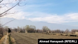 نمای از یک قطعه زمین خشکسالی زده در ولایت پروان