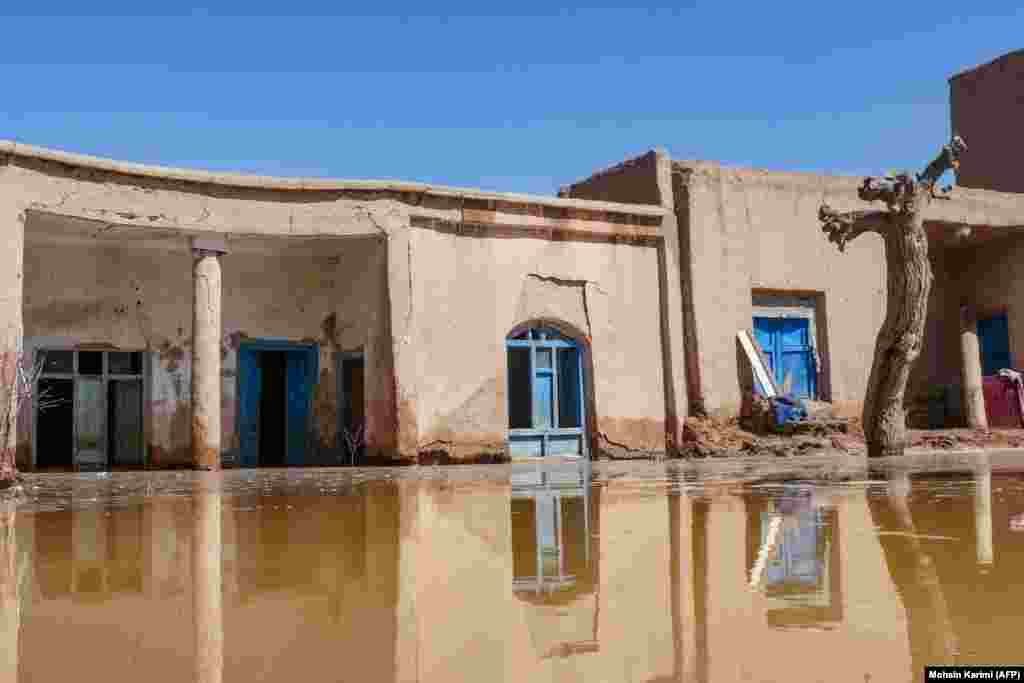 جانان سایق سخنگوی وزارت مبارزه با حوادث حکومت طالبان افزود که حدود 1650 خانه به طور کامل یا جزئی ویران شده و نزدیک به 178000 راس مواشی تلف شده اند.