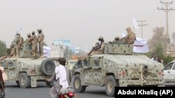 افراد طالبان سوار بر موتر های نظامی که قبلا نیروهای امریکایی و اردوی افغانستان از آن استفاده می کردند