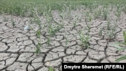 Продовжуються роботи з буріння. Попередній дедлайн – 15 жовтня. Прокладання трубопроводів – до 15 листопада (фото ілюстративне)