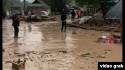 Сел. Иллюстрациялык сүрөт.