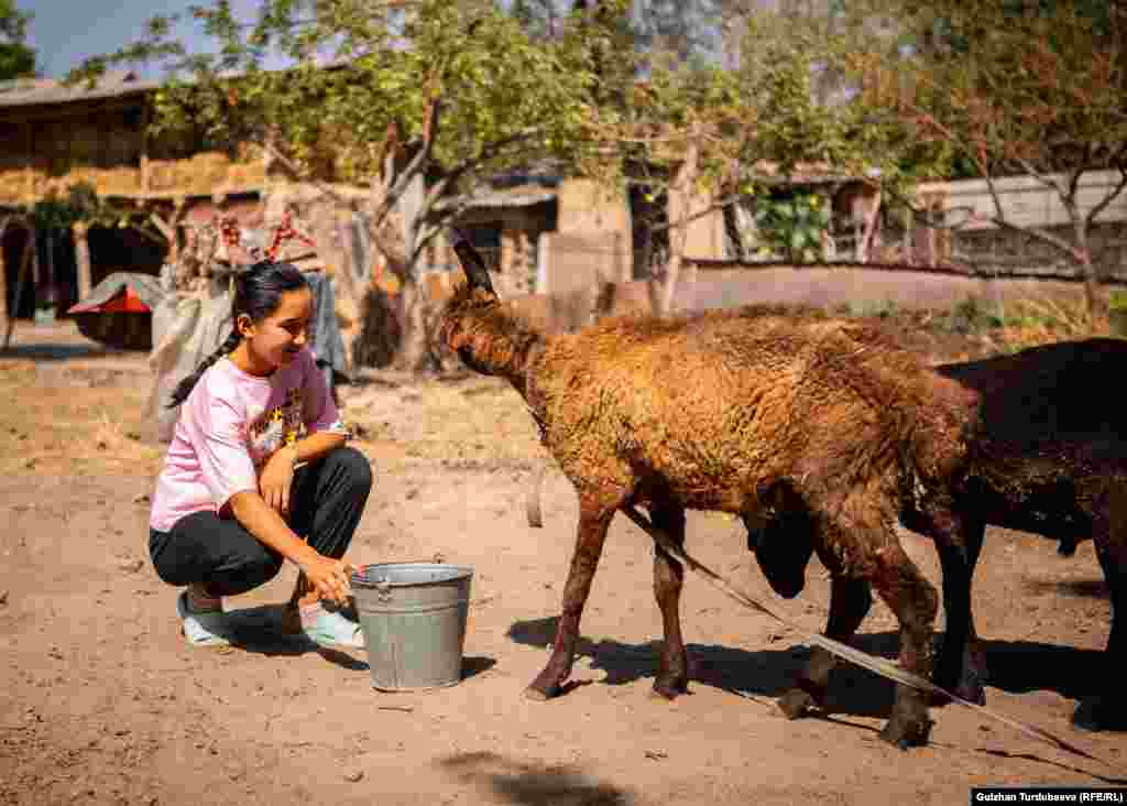 Асема үйдүн тун кызы болгондуктан үйдө чөп чаап, мал карап, эркектин да жумушун кылат.