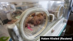 Аш-Шифадан эвакуацияланган ара төрөлгөн ымыркайлар 