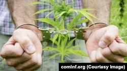 Иллюстративное фото