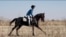 Kyrgyzstan's Fastest Horse Dominates Ancient Equestrian Race GRAB