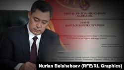 Садыр Жапаров кол койгон мыйзам