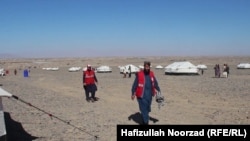 کارمندان برخی از نهاد های امداد رسان در کمپ مهاجرین نیمروز