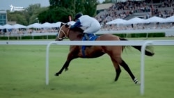 Европада чемпион болгон кыргыз чабандестер 