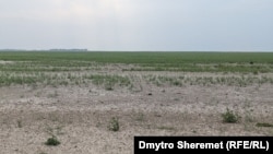 Вид на землі, де раніше було Каховське водосховище, Запорізька область, Україна, серпень 2023 року