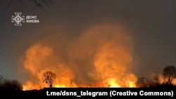 Попередньо, через пожежу вигоріли близько 3 гектарів території, зокрема і частина ландшафтного заказника «Осокорківські луки»