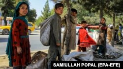  تعدادی از کودکانی که در کابل روی جاده ها کار می کنند 