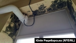 Пліснява в санвузлі