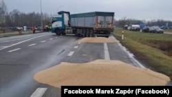 Розсипане учасниками блокування кордону з Україною зерно. Польща, поблизу пункту пропуску «Дорогуськ-Ягодин». 11 лютого 2024