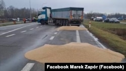 Раніше учасниками блокування кордону з Україною поблизу пункту пропуску «Дорогуськ-Ягодин» висипали на дорогу українське зерно. Польща, 11 лютого 2024 року