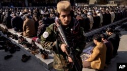 تصویر آرشیف