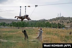 Деякі бійці-таліби можуть нудьгувати, оскільки не беруть участі у боях