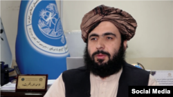حمدالله فطرت - معاون سخنگوی طالبان