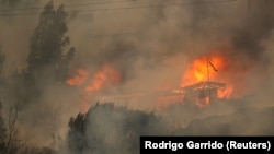 Чили. 2024-жылдын 3-февралы. 