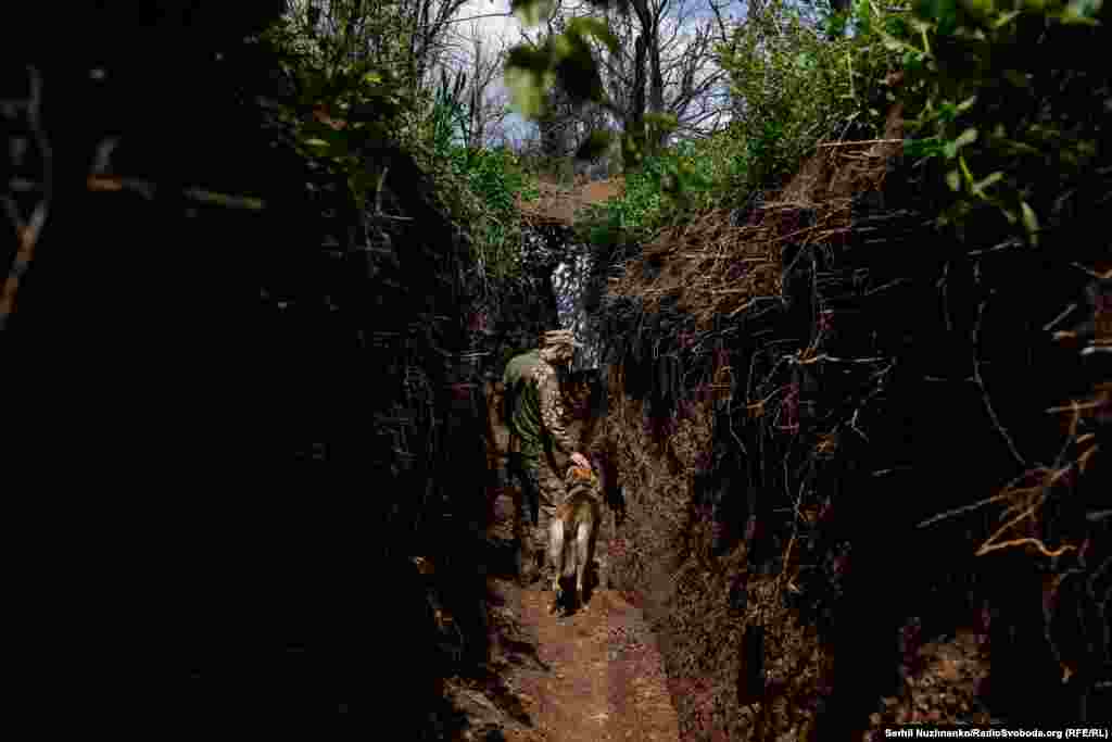 Український військовий й пес Кубик несуть і вдень і вночі варту на передовій російсько-української війни, оберігаючи життя людей у тилу. Позиції ЗСУ, район Красногорівки і Мар&rsquo;їнки. Донецька область. Травень 2023 року