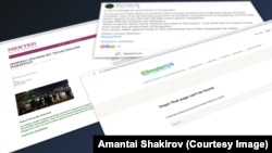 Team Insane PK Телеграм каналы жарыялаган Кыргызстандагы хакерлер талкалап кирди делген веб-сайттар