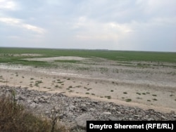 Каховське водосховище висохло і заростає травою, серпень 2023 року